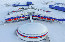 Медин в Арктике