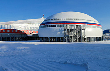 Медин в Арктике